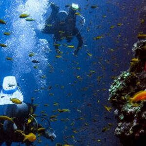 Scuba Diving in Bali with Adeeva Tours