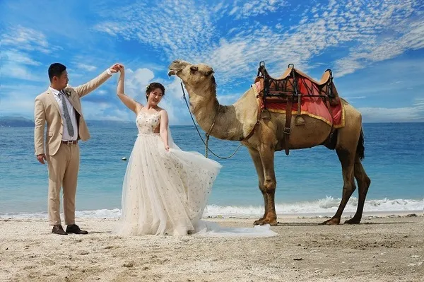 Bali_Camel_Photoshoot