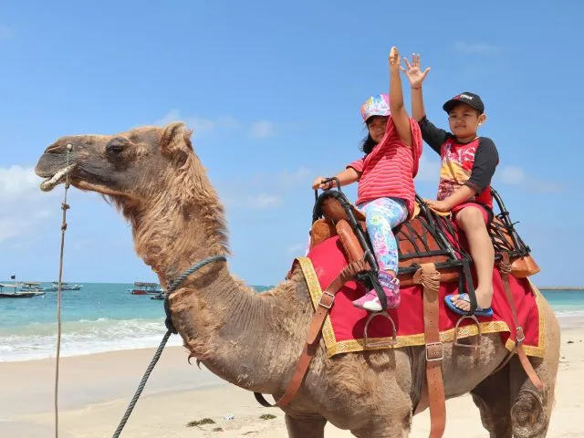 Camel_fun_ride