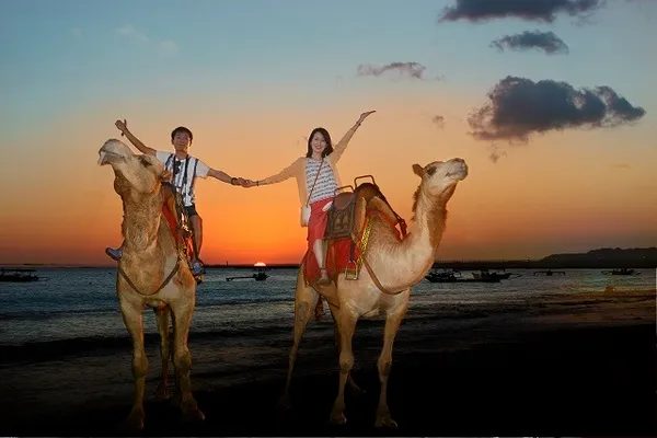 Sunset_Camel_Riding_in_Bali