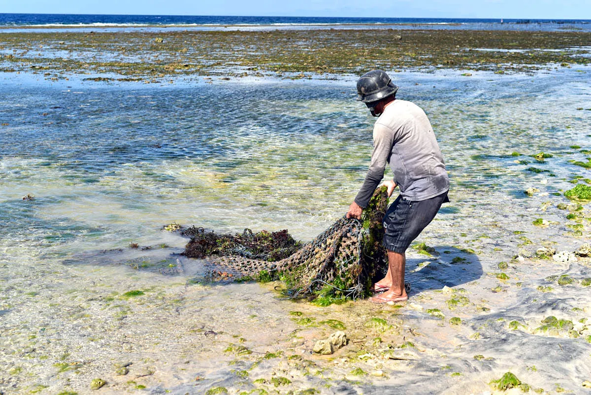 Seaweed-farmer-Pandawa-Beach-Bali