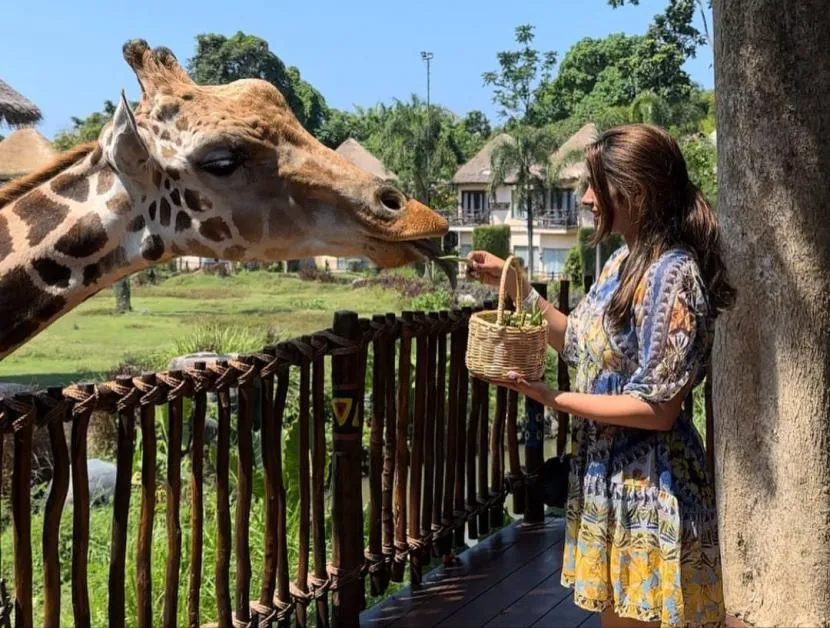 pengunjung-memberi-makan-jerapah-di-taman-safari-bali-kabupaten_231124174040-641