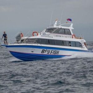 Ray Fish Fast Cruises – Sanur to Nusa Penida Boat Tickets