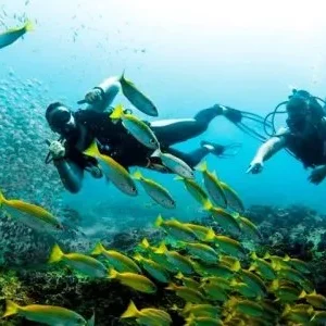 Bali Dive Resort & Spa Tulamben with Adeeva Tours