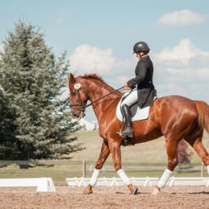 man in black helmet riding brown horse during daytime