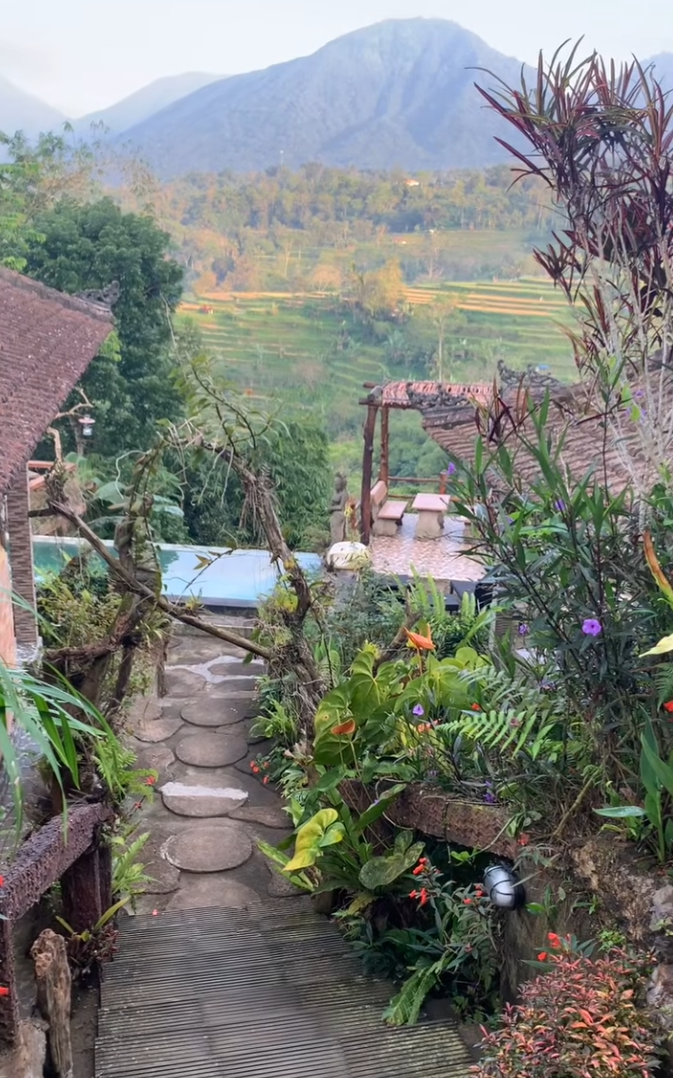 Bali highland nature resort deals Pondok Nyoman Bedugul view