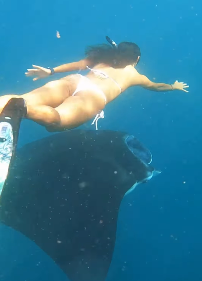 Nusa Penida snorkeling tour package booking Kelingking Beach view