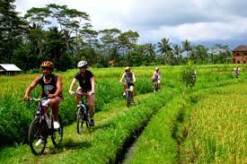 Explore Bali Cycling and Adventure Tours with AdeevaTours