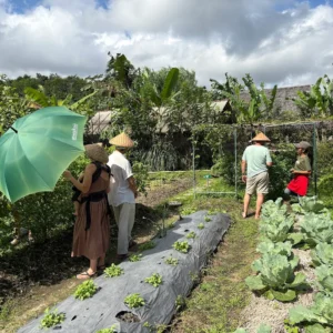 Anandinii Organic Garden & Kitchen – Sidemen Experience with AdeevaTours