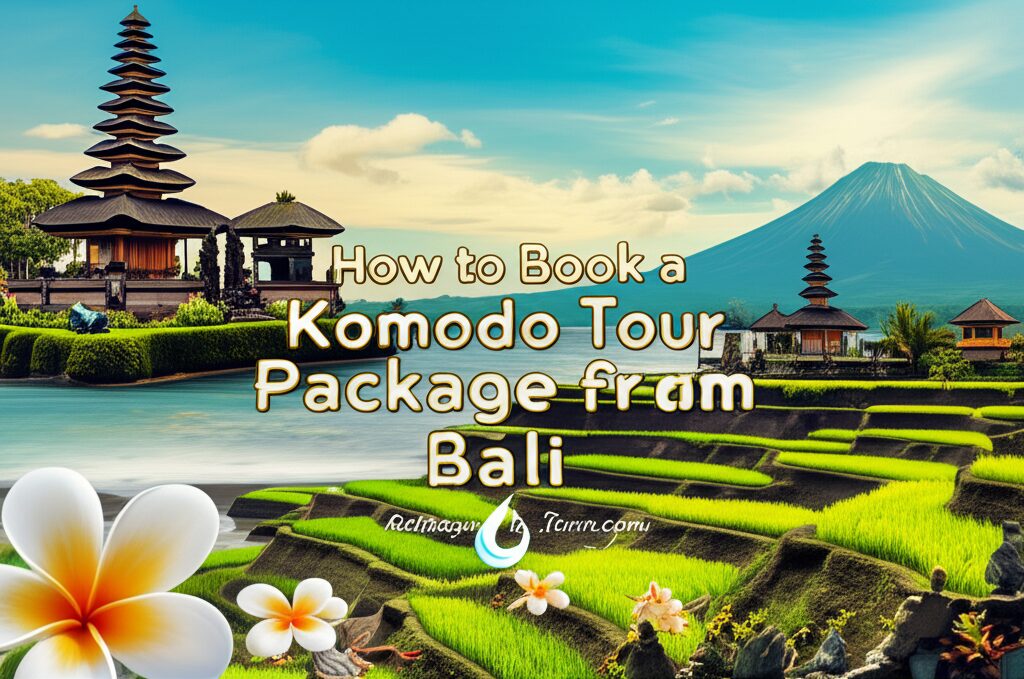 How to Book a Komodo Tour Package from Bali