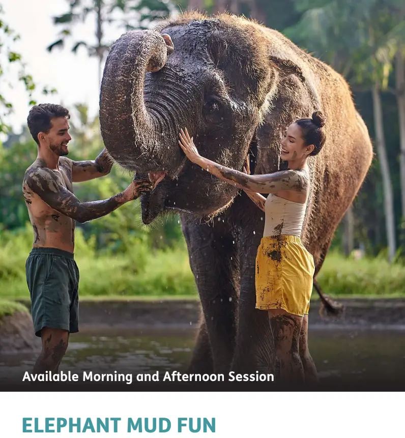 Bali Zoo Packages Deals