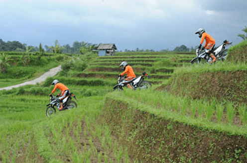 Canggu ATV ride on beach price black sand beach