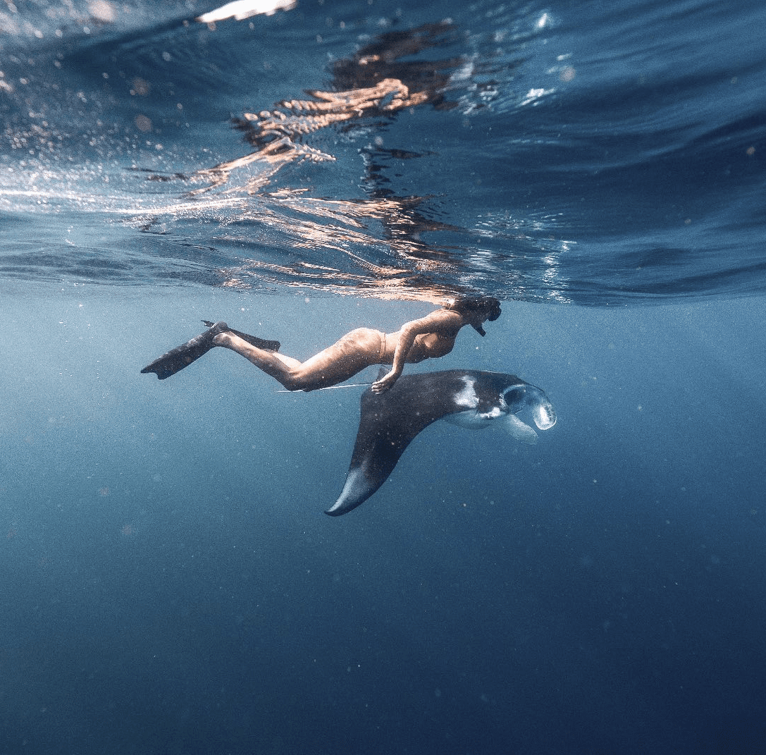 Morin Speed Boat charter price Pari Manta private transfer