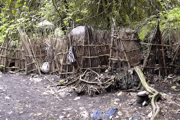 Trunyan Village tour price and booking Bali Aga cemetery 4 Trunyan Village tour price and booking Bali Aga cemetery