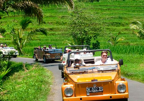 VW Safari Tour Bali package price classic car transport 9 VW Safari Tour Bali package price classic car transport