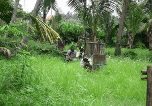 Wake Bali Paint Ball package price Keramas Village 6 Wake Bali Paint Ball package price Keramas Village