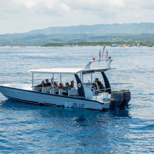lembongan-private-boat-charter-price-big-blue