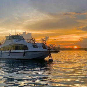 Axe Stone Fast Cruise ticket price 2025/2026