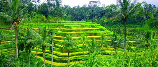 Bali 4 days 3 nights tour package price Kintamani view