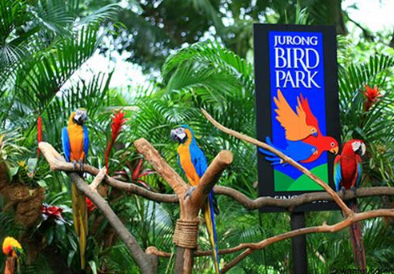 Bali Bird Park entrance fee 2025 free flight show