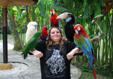 Bali Bird Park entrance fee 2025 free flight show