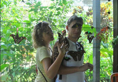 Bali Butterfly Park entrance fee 2025 Tabanan tickets