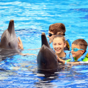 Bali Exotic Marine Park dolphin tour price 2025 discovery swim
