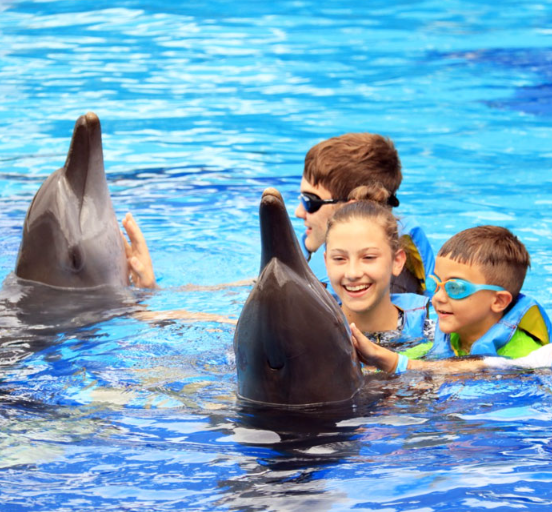 Bali Exotic Marine Park dolphin tour price 2025 discovery swim