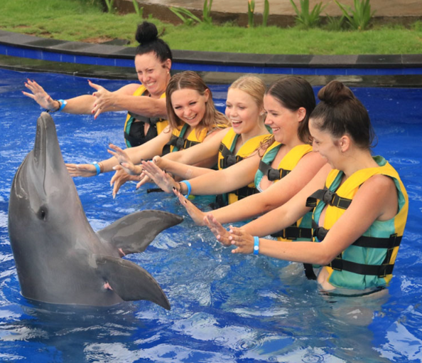 Bali Exotic Marine Park dolphin tour price 2025 discovery swim