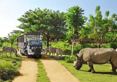 Bali Safari Jungle Hopper ticket price 2025 safari tram