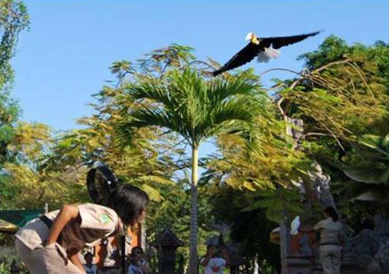 Bali Safari Jungle Hopper ticket price 2025 safari tram