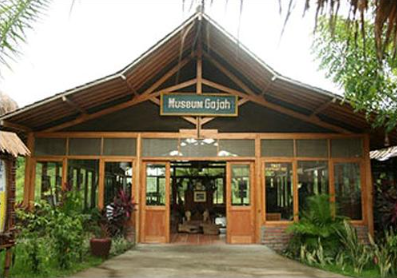 Bali Safari Jungle Hopper ticket price 2025 safari tram