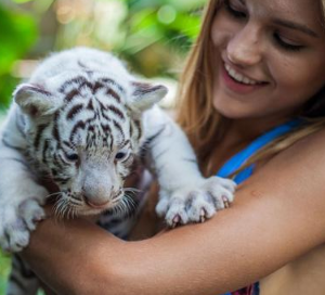 Bali Zoo entrance ticket price 2025/2026