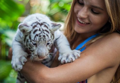 Bali Zoo entrance ticket price 2025/2026