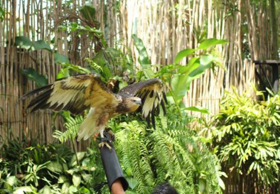 Bali Zoo entrance ticket price 2025 2026 zoo explorer