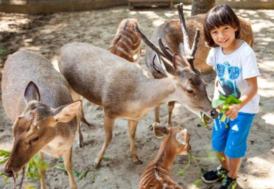 Bali Zoo entrance ticket price 2025 2026 zoo explorer