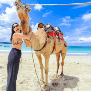 Nusa Dua camel ride with seafood dinner booking