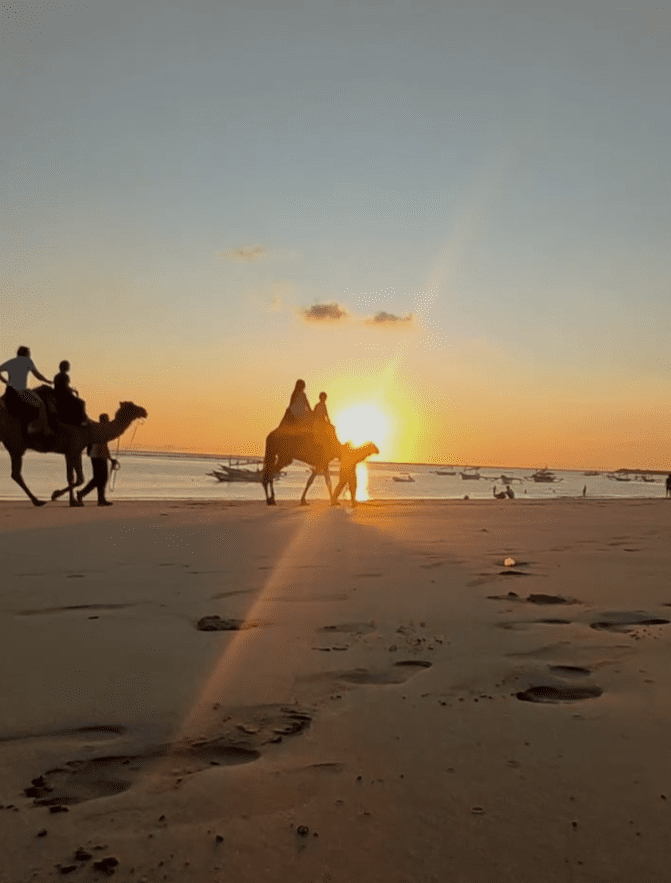 Bali camel riding package price Kelan Beach sunset