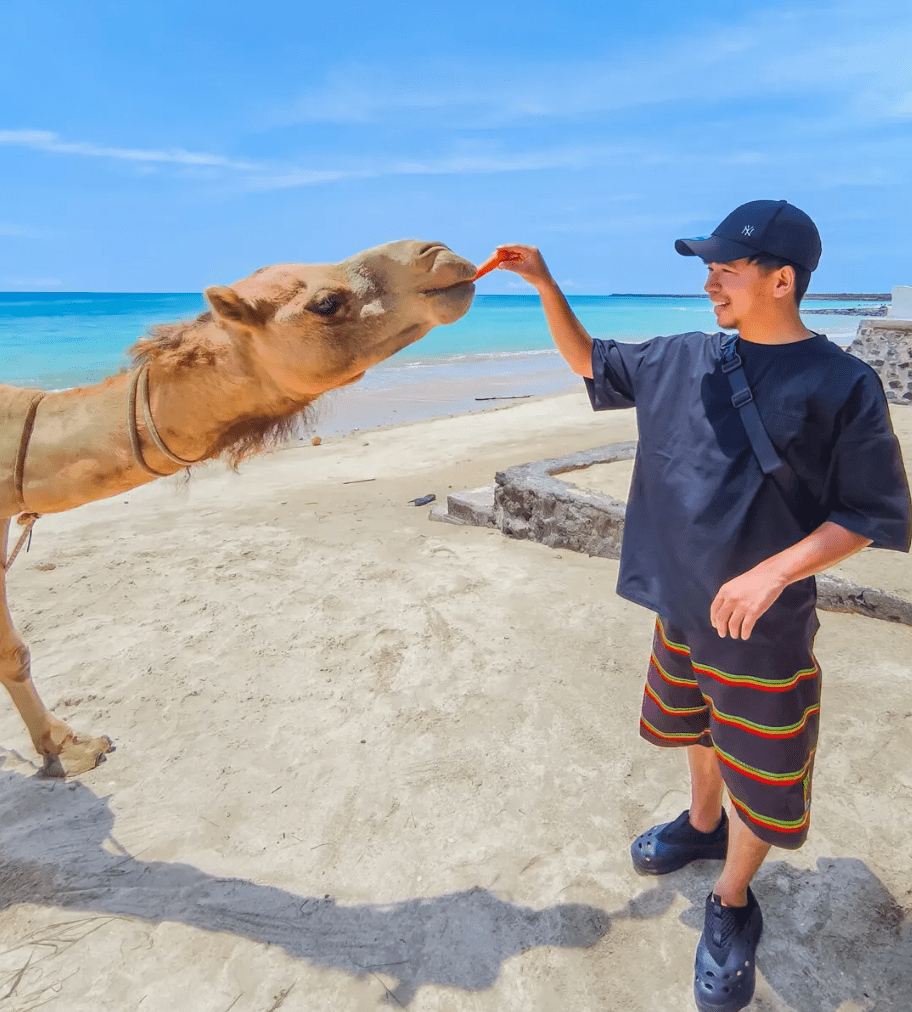 Bali camel riding package price Kelan Beach sunset