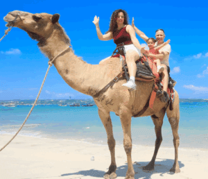 Nusa Dua camel ride with seafood dinner booking
