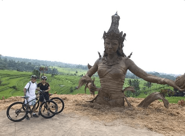 Bali cycling tour Kintamani Jatiluwih price rice terraces