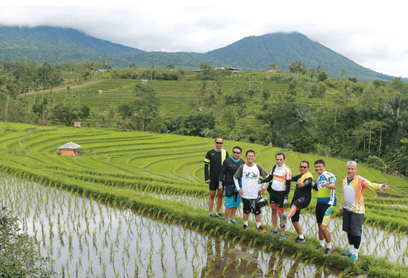 Bali cycling tour Kintamani Jatiluwih price rice terraces