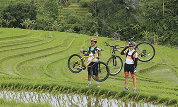 Bali cycling tour Kintamani Jatiluwih price rice terraces