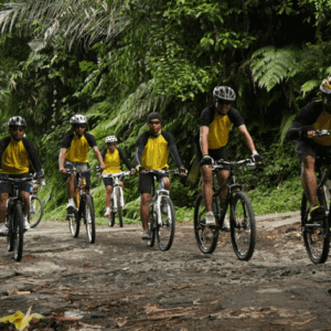 Bali cycling tour Ubud Sangeh price village ride