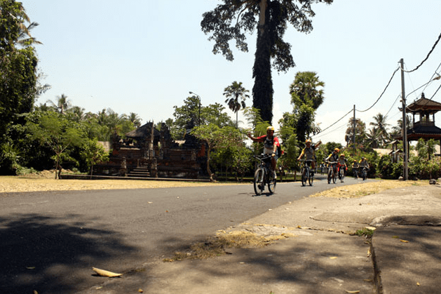 Bali cycling tour Ubud Sangeh price village ride