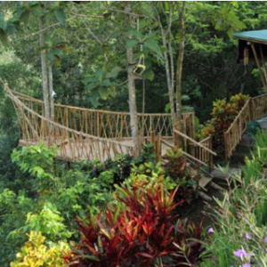 Bali outbound team building Sangeh price 2025