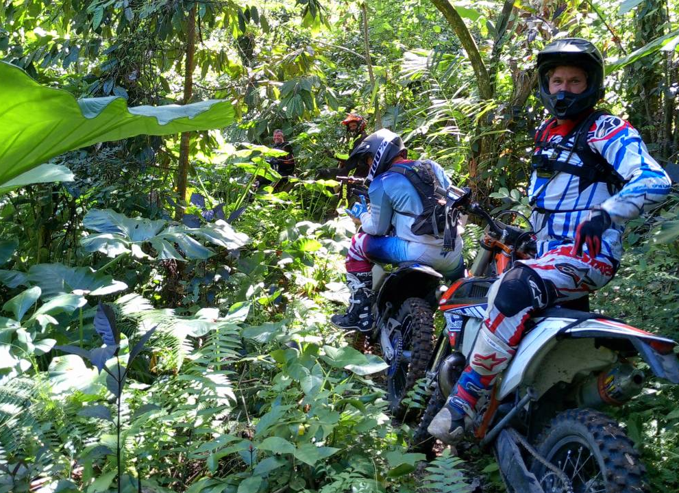 Bali pine forest enduro adventure Kintamani trees