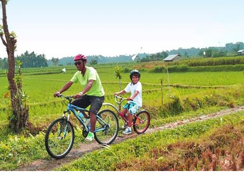 Bayan cycling tour Batukaru rice field price