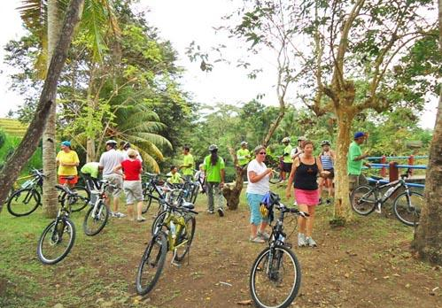 Bayan cycling tour Batukaru rice field price
