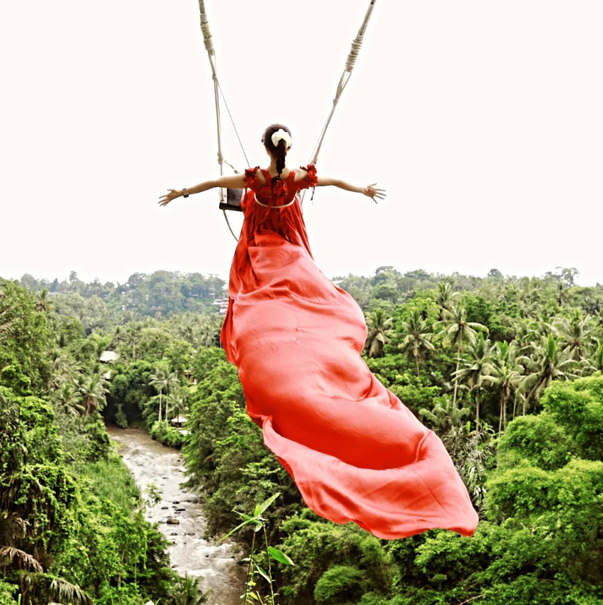 Best Bali waterfall and swing tour price comparison guide